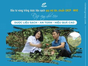 Dược liệu sạch vietmec